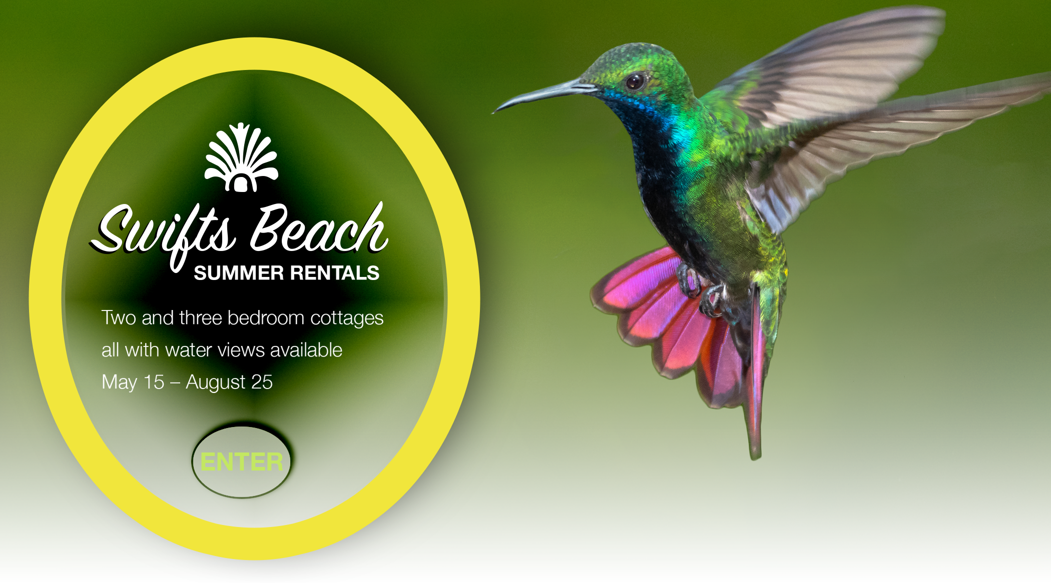Hummingbird